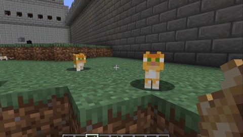 我的世界猫怎么驯服