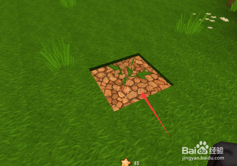 迷你世界的西瓜怎么种