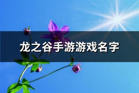 龙之谷手游起什么名字
